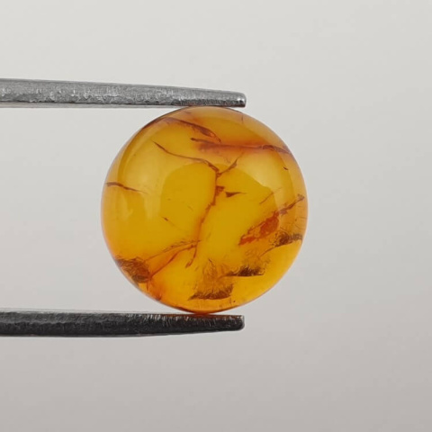 Bursztyn bałtycki kaboszon fi 10 mm nr 667 Bursztyn bałtycki kaboszon fi 10 mm nr 667