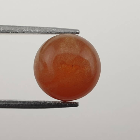 Baltic amber cabochon fi 10 mm no 683 Baltic amber cabochon fi 10 mm no 683