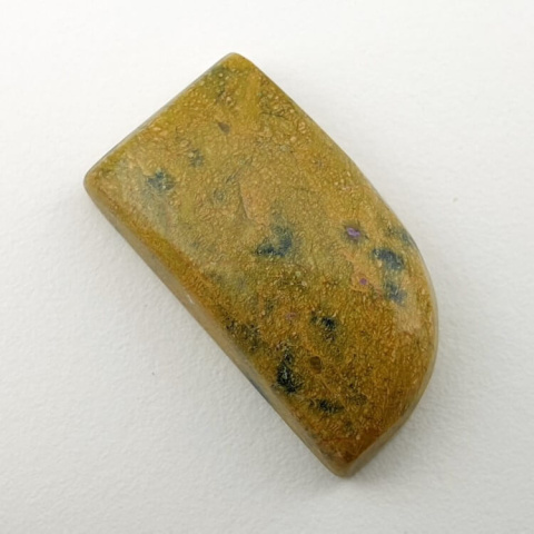 Atlantisite cabochon 24x13 mm no 46 Atlantisite cabochon 24x13 mm no 46