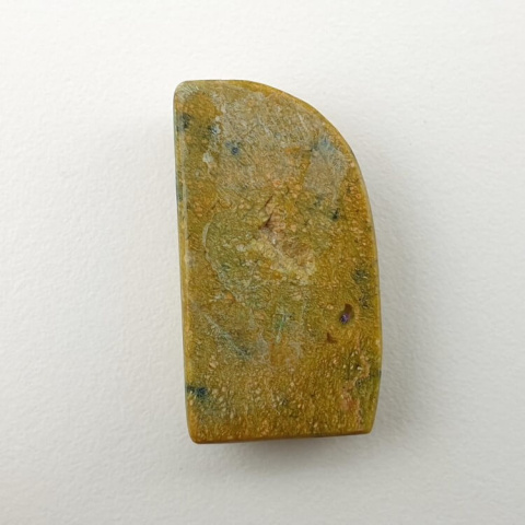 Atlantisite cabochon 24x13 mm no 46 Atlantisite cabochon 24x13 mm no 46