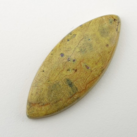 Atlantisite cabochon 40x16 mm no 17 Atlantisite cabochon 40x16 mm no 17