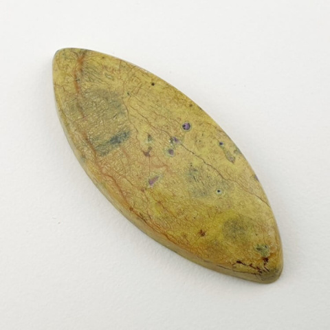 Atlantisite cabochon 40x16 mm no 17 Atlantisite cabochon 40x16 mm no 17