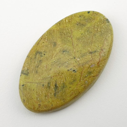 Atlantisite cabochon 43x25 mm no 10 Atlantisite cabochon 43x25 mm no 10