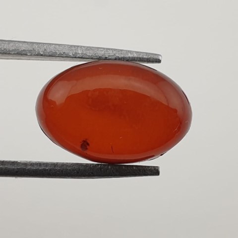 Baltic amber pair of cabochons 12x8 mm no. 106 Baltic amber pair of cabochons 12x8 mm no. 106