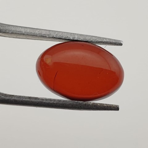 Baltic amber pair of cabochons 12x8 mm no. 106 Baltic amber pair of cabochons 12x8 mm no. 106