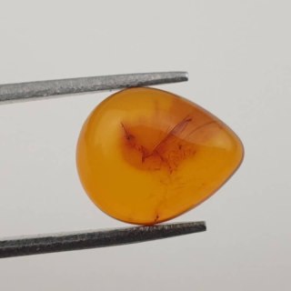 Baltic amber cabochon 12x10 mm no. 333