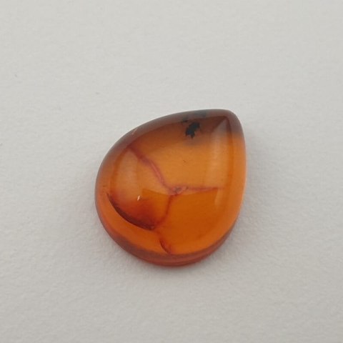 Baltic amber cabochon 12x10 mm no. 335 Baltic amber cabochon 12x10 mm no. 335