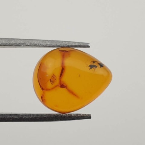 Baltic amber cabochon 12x10 mm no. 335 Baltic amber cabochon 12x10 mm no. 335