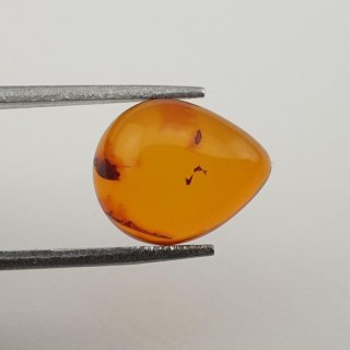 Baltic amber cabochon 12x10 mm no 341
