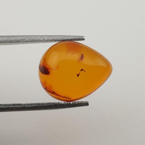 Baltic amber cabochon 12x10 mm no 341 Baltic amber cabochon 12x10 mm no 341