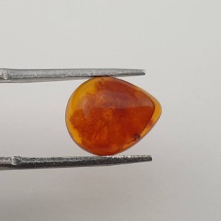 Baltic amber cabochon 12x10 mm no 353