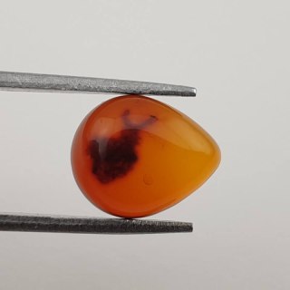 Baltic amber cabochon 12x10 mm no 354