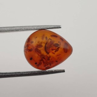 Baltic amber cabochon 12x10 mm no 358