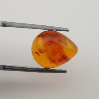 Baltic amber cabochon 12x10 mm no 359