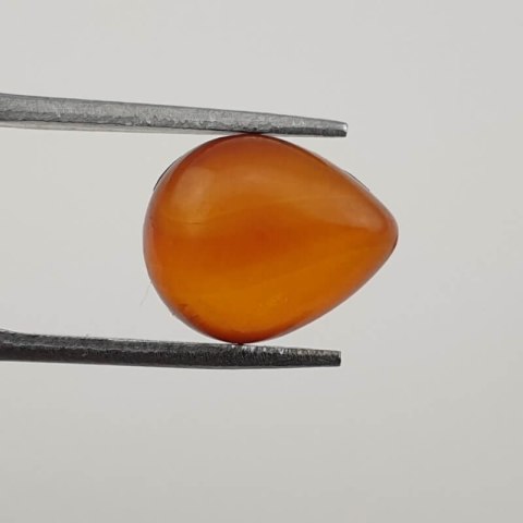 Baltic amber pair of cabochons 12x10 mm no 142 Baltic amber pair of cabochons 12x10 mm no 142