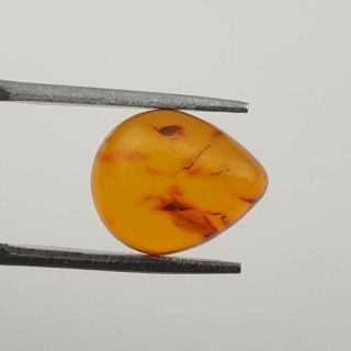 Baltic amber pair of cabochons 12x10 mm no 143