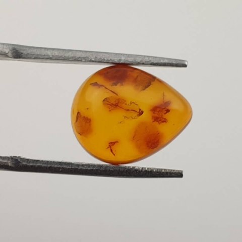 Baltic amber pair of cabochons 12x10 mm no 143 Baltic amber pair of cabochons 12x10 mm no 143