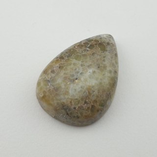 Opal zwyczajny kaboszon 27x19 mm nr 25