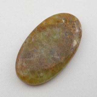 Opal zwyczajny kaboszon 37x21 mm nr 8