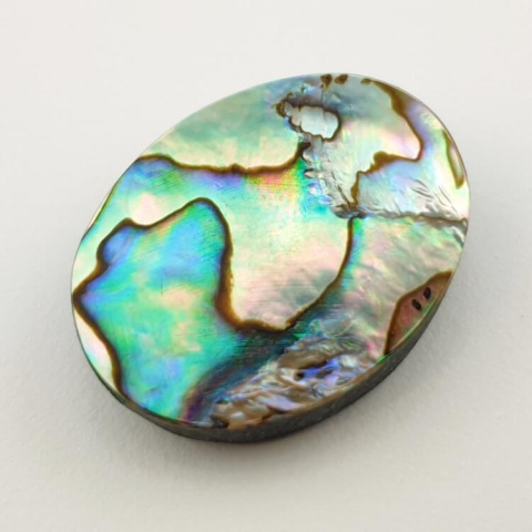 Paua abalone cabochon 30x23 mm no. 131 Paua abalone cabochon 30x23 mm no. 131
