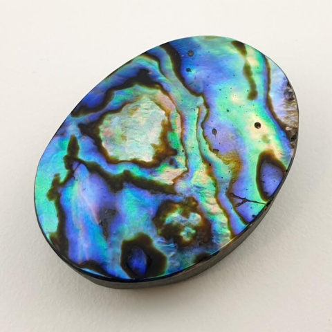 Paua abalone cabochon 32x24 mm no. 127 Paua abalone cabochon 32x24 mm no. 127