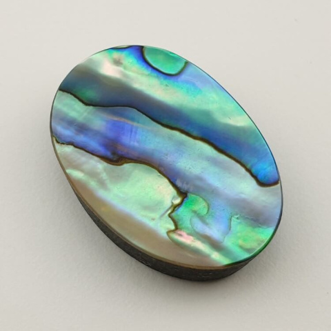 Paua abalone cabochon 34x23 mm no. 122 Paua abalone cabochon 34x23 mm no. 122