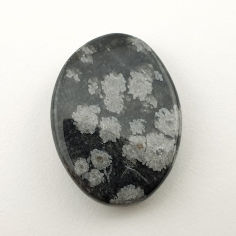 Snow obsidian cabochon 26x19 mm no 23 Snow obsidian cabochon 26x19 mm no 23