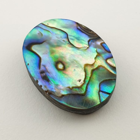 Paua abalone cabochon 24x18 mm no. 157 Paua abalone cabochon 24x18 mm no. 157