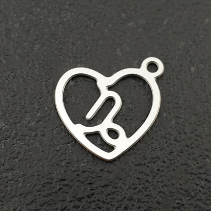 Capricorn pendant surgical steel 14 mm