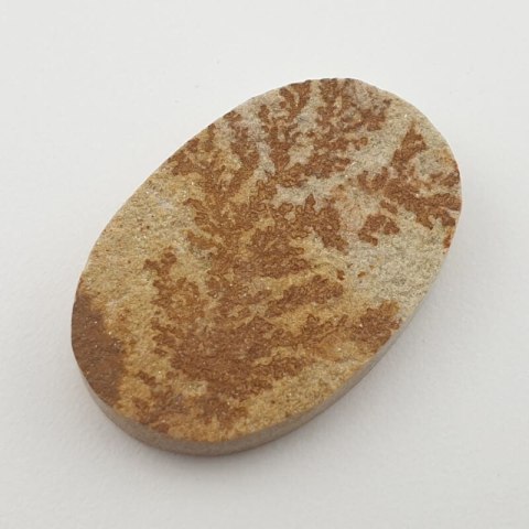 Psilomelane dendrite cabochon 40x26 mm no 3 Psilomelane dendrite cabochon 40x26 mm no 3