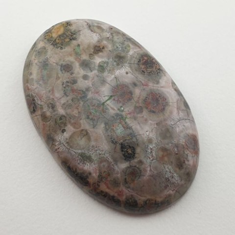 Jaspis leopardzi kaboszon 33x22 mm nr 42 Jaspis leopardzi kaboszon 33x22 mm nr 42