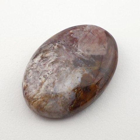 Skamieniałe drewno kaboszon 27x19 mm nr 28 Skamieniałe drewno kaboszon 27x19 mm nr 28