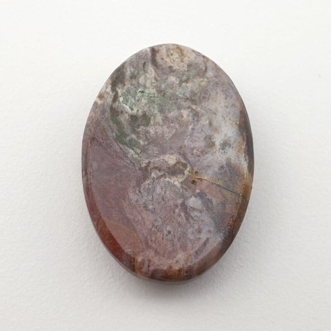 Skamieniałe drewno kaboszon 27x19 mm nr 28 Skamieniałe drewno kaboszon 27x19 mm nr 28