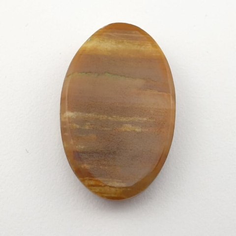 Petrified wood cabochon 32x20 mm no. 8 Petrified wood cabochon 32x20 mm no. 8