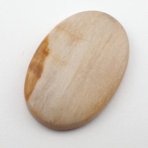 Petrified wood cabochon 35x23 mm no. 19 Petrified wood cabochon 35x23 mm no. 19