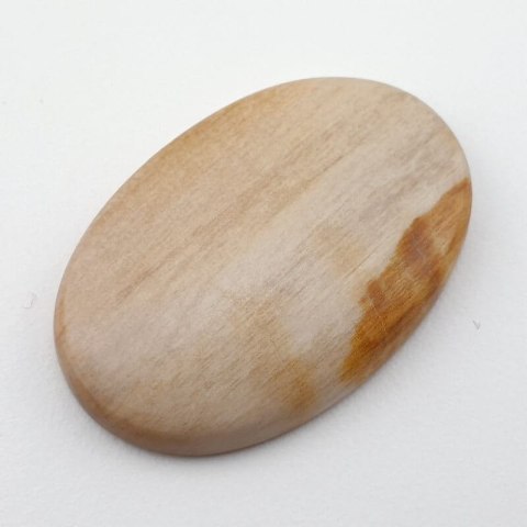 Petrified wood cabochon 35x23 mm no. 19 Petrified wood cabochon 35x23 mm no. 19