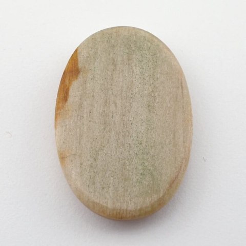 Petrified wood cabochon 35x23 mm no. 19 Petrified wood cabochon 35x23 mm no. 19