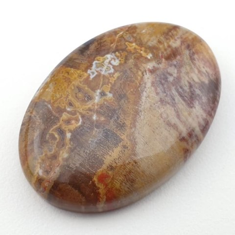 Petrified wood cabochon 35x24 mm no. 22 Petrified wood cabochon 35x24 mm no. 22