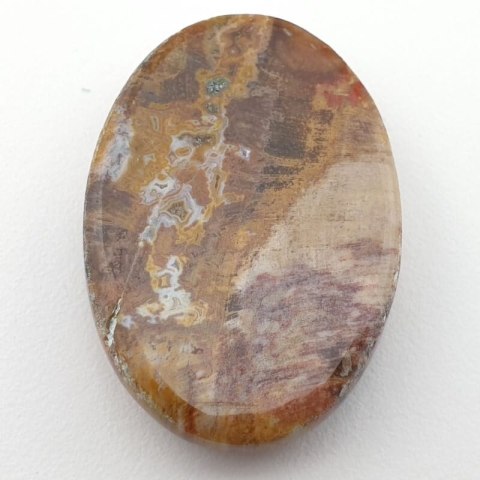 Petrified wood cabochon 35x24 mm no. 22 Petrified wood cabochon 35x24 mm no. 22