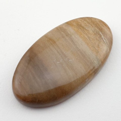 Petrified wood cabochon 39x21 mm no. 14 Petrified wood cabochon 39x21 mm no. 14
