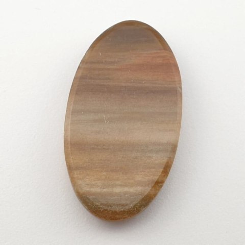 Petrified wood cabochon 39x21 mm no. 14 Petrified wood cabochon 39x21 mm no. 14