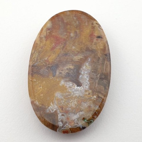 Petrified wood cabochon 40x25 mm no 7 Petrified wood cabochon 40x25 mm no 7