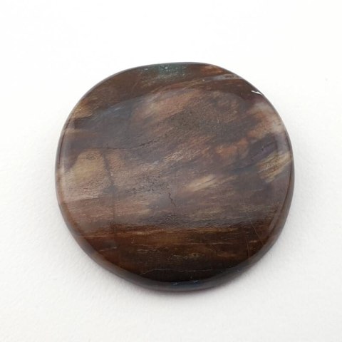 Petrified wood cabochon fi 29 mm no. 9 Petrified wood cabochon fi 29 mm no. 9