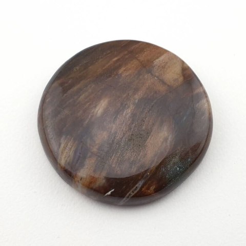 Petrified wood cabochon fi 29 mm no. 9 Petrified wood cabochon fi 29 mm no. 9