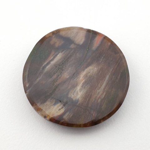 Petrified wood cabochon fi 29 mm no. 9 Petrified wood cabochon fi 29 mm no. 9