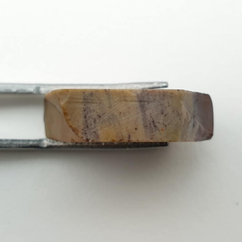 Mokaite cut raw 23x18 mm No. 52 Mokaite cut raw 23x18 mm No. 52