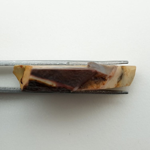 Mokaite cut raw 33x27 mm No 55 Mokaite cut raw 33x27 mm No 55