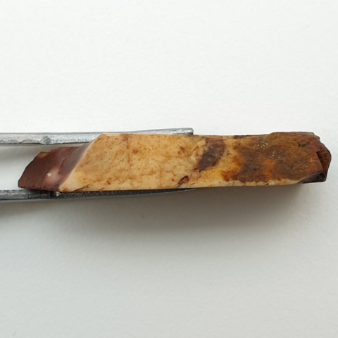 Mokaite cut raw 35x13 mm No 48 Mokaite cut raw 35x13 mm No 48