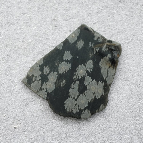 Snow obsidian cut raw 32x26 mm No 23 Snow obsidian cut raw 32x26 mm No 23