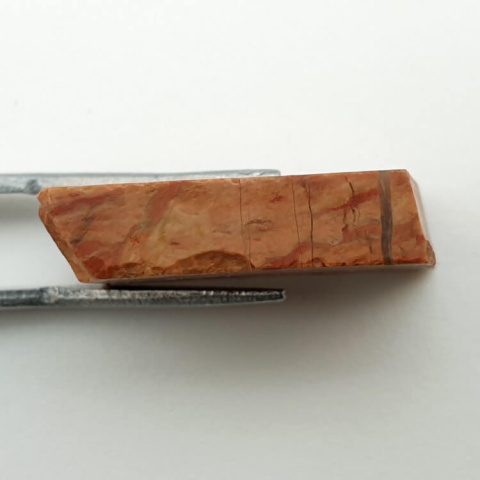 Jasper snake skin cut raw 26x16 mm no 2 Jasper snake skin cut raw 26x16 mm no 2